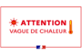 canicule